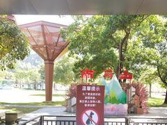 -南丹山森林王国