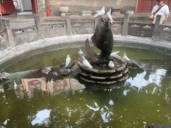 -西安大兴善寺