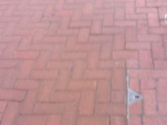 -德兴美食坊(屯门店)