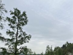 -仙海旅游度假区