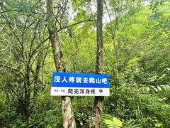 -鹿院坪生态旅游景区