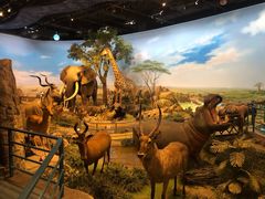 -陕西自然博物馆