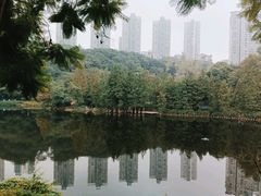 -重庆彩云湖湿地公园