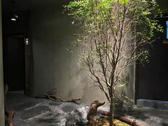 -森SPA·泰式按摩·精油Massage(宝安中心店)