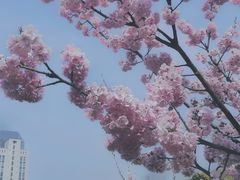 -江南大学(蠡湖校区)