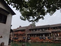 -乌镇西栅景区