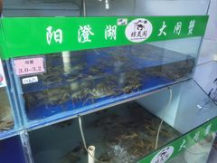 -阳澄湖大闸蟹·琼灵阁牌品牌连锁(吴中总店)
