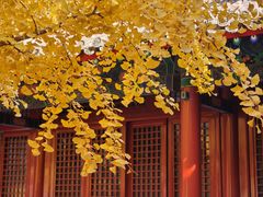 -承恩寺