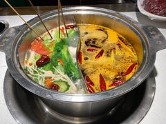 鸳鸯锅-让签签飞小郡肝串串香(春熙路形象店)