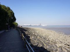 -吴淞炮台湾湿地森林公园烧烤区