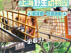 -上海野生动物园