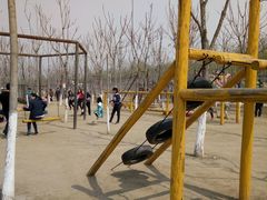 -草根堂农场