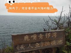-杨梅坑