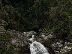-海南热带雨林国家公园吊罗山景区