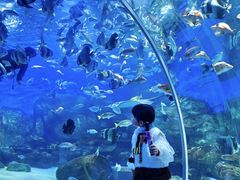 -顺德南宏海立方海洋公园