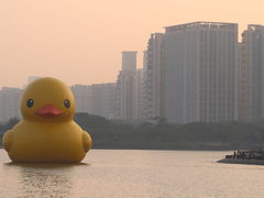 -深圳人才公园