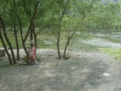 -下河湾农家乐