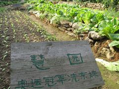 IMG_0646-茂德公草堂