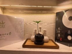 -东英经典SKIN&SPA