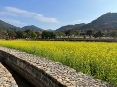 -福建土楼（华安）旅游区•大地土楼群