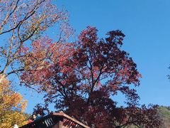 -塔川景区