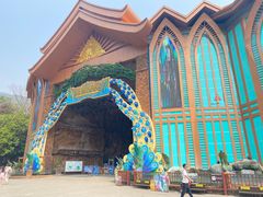 -西双版纳原始森林公园