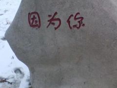 -曲阜师范大学(曲阜校区)