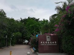 -亚龙湾海底世界