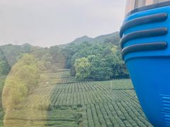 -灵顺寺