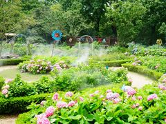 -上海共青森林公园