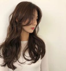 -环球蝶上美业连锁