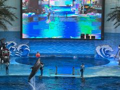 -海合安成都极地海洋公园