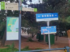 -日照海滨国家森林公园