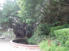-鸿山公园