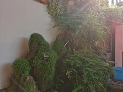 -丽江庭院之爱在路上(西单店)