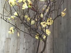 -美豪怡致酒店(上海长寿路店)