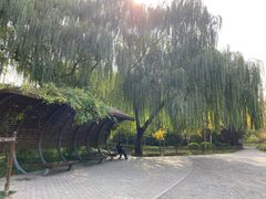 -北极寺公园