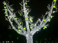 -秀丽东方