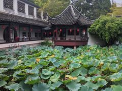 -上海醉白池公园