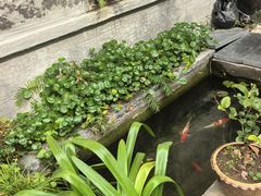 -树厨贵州菜(铜仁花果山店)