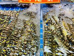 -桃源市场(解放路店)