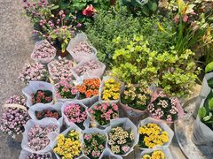 -双季花艺园艺市场(浦东店)