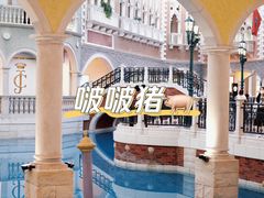 -澳门威尼斯人综合度假区