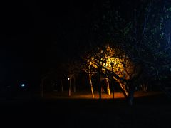 -莫子山公园