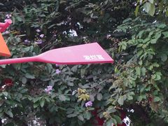 -荔湾湖公园