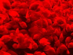 -多彩贵州城极地海洋世界