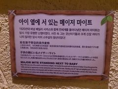 -信不信由你博物馆