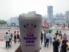 -一只酸奶牛(八一路店)