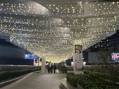 -瑞虹新天地月亮湾