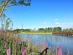 -潘氏风味(中市路店)